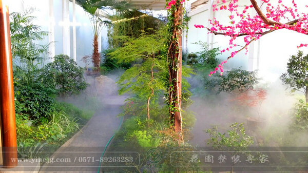 這樣的室內(nèi)庭院，簡直讓我尖叫！